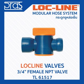 LOCLINE ล็อคไลน์ ระบบท่อกระดูกงู Valves วาล์ว 3/4" FEMALE NPT VALVE (TL 61517)