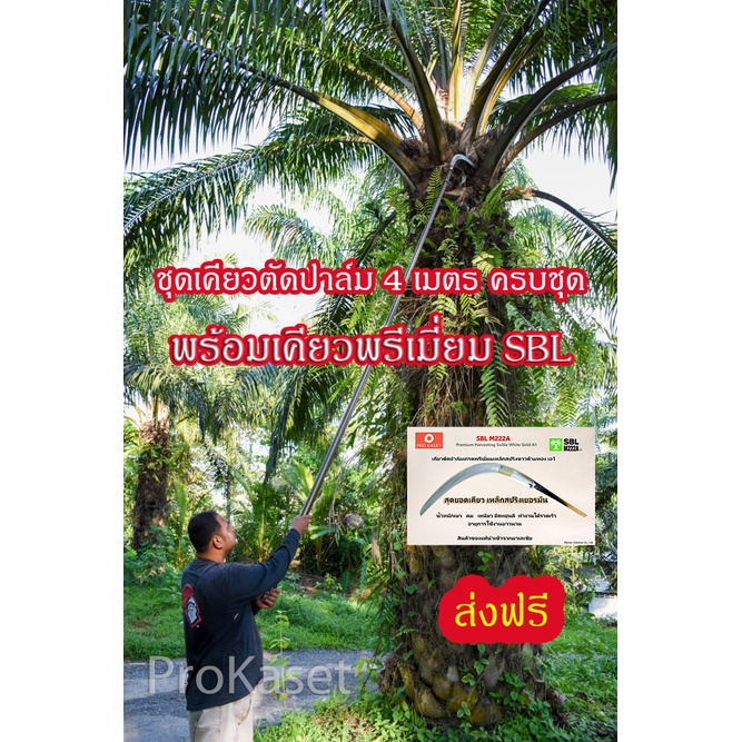 ชุดเคียวเกี่ยวปาล์ม ตัดปาล์ม ขนาดความยาว 4 เมตร  (2+2 เมตร) ครบชุด เคียวทอง SBL พร้อมด้าม ชุดด้ามเคี