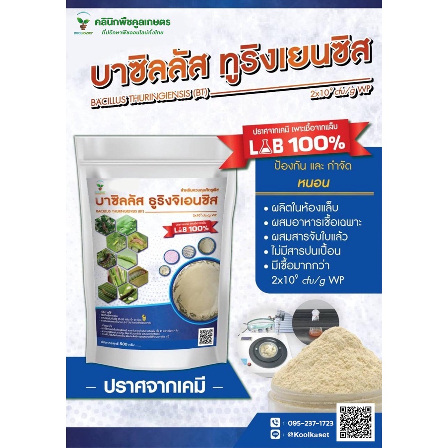 บาซิลลัส ทูริงเยนซิส 500 กรัม ป้องกันหนอนเจาะฝัก หนอนเจาะผล หนอนร่าน หนอนชอนใบ หนอนม้วนใบ หนอนคืบ หนอนกระทู้ หนอนกอ