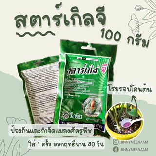 สตาร์เกิลจี กำจัดมดและแมลงในดิน ไดโนทีฟูแรน สตาเกิลจี 100 กรัม