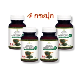 x 4 กระปุก (กระปุกละ 60เม็ด) อาหารเสริม SPIRULINA  สาหร่ายเกลียวทอง   สไปรูริน่า  สาหร่ายสกัด อาหารเสริมจากสาหร่าย