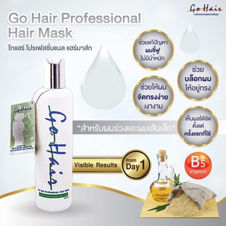 Go Hair Professional Hair Mask โกแฮร์ โปรเฟสชั่นแนล แฮร์ มาส์ก (โกแฮร์ขาว) 250 ml.