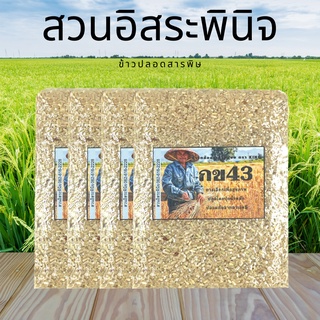 จมูกข้าวกล้อง กข43 จำนวน 4 แพ็ค ปลอดสารพิษ จมูกข้าวเพื่อสุขภาพ สวนอิสระพินิจ จมูกข้าว จมูกข้าวคนท้อง ดัชนีน้ำตาลต่ำ