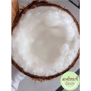 ✅ พร้อมส่ง❗️ราคาดีที่สุด ถูกมาก❗️มะพร้าวกะทิลูก🌴 มะพร้าวกะทิ มะพร้าวกะทิเนื้อฟู มะพร้าวกะทิน้ำข้น มะพร้าวกะทิพร้อมทาน