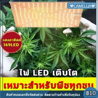 ไฟปลูกต้นไม้ ไฟปลูกพืช ลูกปัดโคมไฟ169 เม็ด ไฟปลูกต้นไม้ led grow light ช่วยการเจริญเติบโตของพืช สำหรับปลูกพืชเรือนกระจก