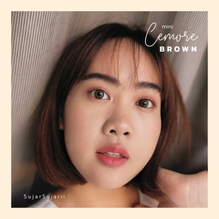 🧡คอนแทค Mini Cemore Brown ขนาดมินิ 🧡ทักแชทก่อนสั่งซื้อ