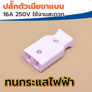 ปลั๊กตัวเมีย ABN 2 ขาแบน ทองเหลือง คละสี (สุ่มสี)