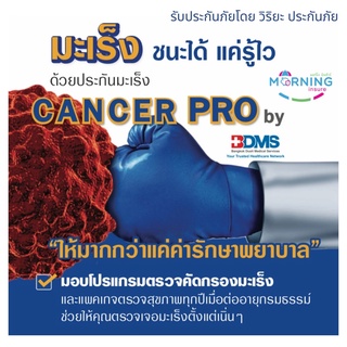 ประกันโรคมะเร็งและอุบัติเหตุพิเศษ Cancer Pro by BDMS รับประกันโดย วิริยะ