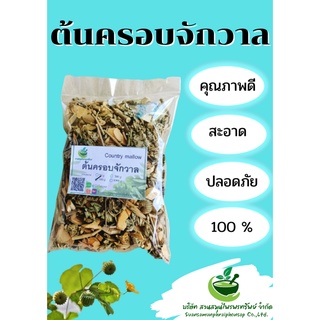 ต้นครอบจักวาล ขนาด 100 กรัม ทำให้เจริญอาหาร