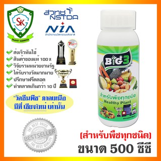 วัคซีนพืช บิ๊ก3 / บิ๊ก ขนาด 500 ซีซี (สำหรับพืชทุกชนิด) ฮอร์โมนพืช ปลอดภัยต่อเกษตรกร ใช้ป้องกันและควบคุมโรคพืชและแมลง