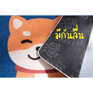 พร้อมส่งค่ะ พรมเช็ดเท้า พรมเช็ดเท้าขนนุ่ม พรมห้องน้ำ พรมเช็ดเท้าขนฟู