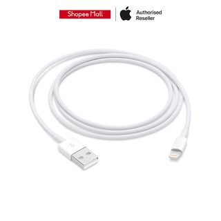 Apple Lightning to USB Cable (1 m)