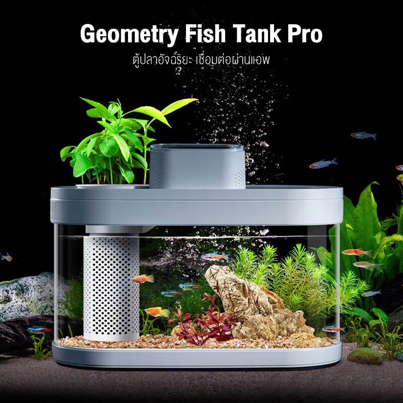 Geometry Fish Tank Pro ตู้ปลาระบบนิเวศอัจฉริยะ ตู้ปลาอัจฉริยะ ตู้ปลาขนาดเล็ก qsdP