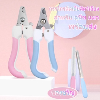 😻BHQ🚚พร้อมส่ง🚚 กรรไกรตัดเล็บ พร้อมตะไบ กรรไกรตัดเล็บแมว  กรรไกรตัดเล็บสัตว์เลี้ยง เป็นแสตนเลส Pet Nail Clipper