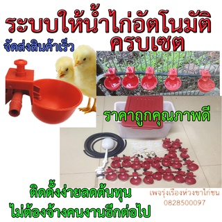 ระบบให้น้ำไก่อัตโนมัติครบเซตติดตั้งครั้งเดียวจบไม่ต้องจ้างแรงงาน