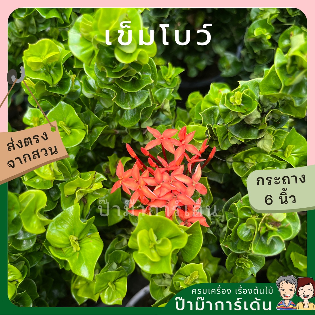 มุมมอง 3