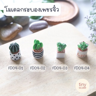 โมเดลกระบองเพชรจิ๋ว ของจิ๋ว สำหรับทำฉาก ตกแต่งสวนถาด บ้านตุ๊กตา miniature