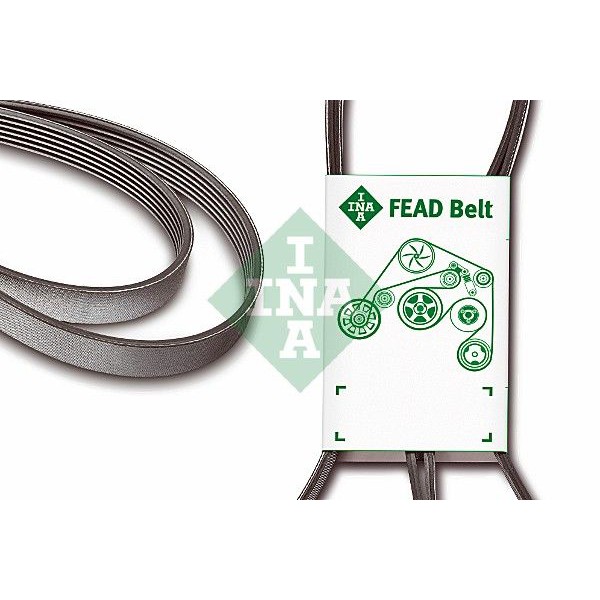 FAN BELT FORD ESCAPE 2.0 (2001 ONWARDS)