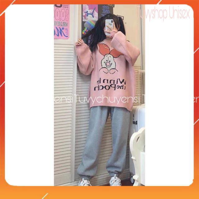 Win HS75 Pig Sleep Set