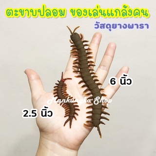 ตะขาบ ตะขาบปลอม สัตว์มีพิษ ของเล่นปลอม สัตว์ปลอม ของเล่นแกล้งคน