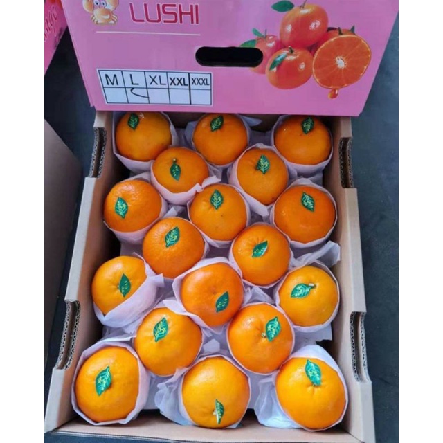 🍊ส้มไต้หวัน  Wo Tangerine