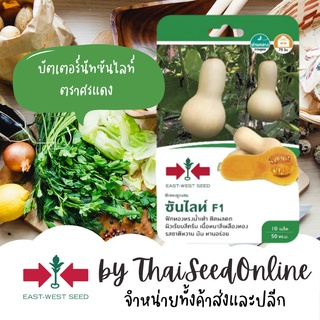 GGEW เมล็ดพันธุ์ซฟ ฟักทอง บัตเตอร์นัท ซันไลท์ 10 เมล็ด ตราศรแดง