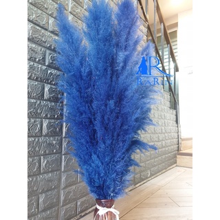 Rarin ดอกเลาย้อม สีน้ำเงิน ( 5 ก้าน) ขนาด 90 cm. เป็นดอกไม้ธรรมชาติ ดอกฟุ้งฟิ้ง ใช้ประดับห้อง งานแต่ง DIY