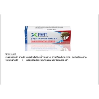 ยอดขายอันดับหนึ่ง✅✅เจลทาแผลเป็นเลือดมังกร XPERT Allium Cepa 16.35% เข้มข้น เห็นผลไว ขนาด 10 กรัม พร้อมส่ง