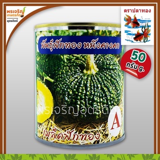 เมล็ดพันธุ์ฟักทอง ฟักทองหนังคางคก พันธุ์ A (50 กรัม) เมล็ดฟักทองคางคก ฟักทองลูกใหญ่ เมล็ดพันธุ์ผักสวนครัว ตราปลาทอง