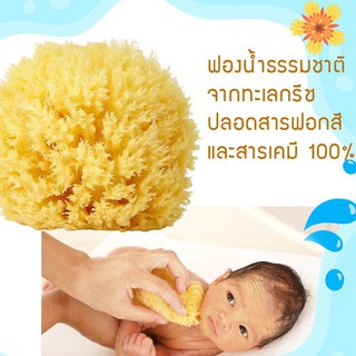 ฟองน้ำธรรมชาติแท้100% จากกรีซGreek Natural Sea Sponge (เก็บเงินปลายทางได้)