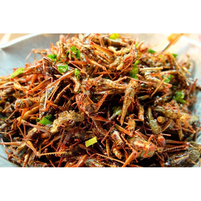 ตั๊กแตนปาทังก้า(ปริมาณ100กรัม) ทอดใหม่ พร้อมเลยค่ะ. (ร้านสุโขทัยรวมแมลง เชียงใหม่)