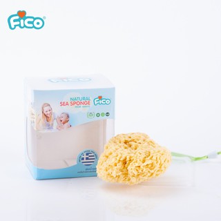 Fico Sea Spong  100% Natural ฟองน้ำธรรมชาติ 100%