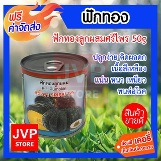 **ส่งฟรี**เมล็ดฟักทองลูกผสมศรีไพร 50g. ตราภูเขาทอง ปลูกง่าย ติดผลดก เนื้อสีเหลือง เนื้อแน่น เนื้อหนา เนื้อเหนียว