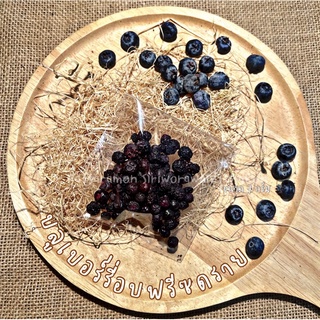 บลูเบอรี่ Freeze Dried ขนาด 7 กรัม กระรอก นก กระต่าย แพรี่ด็…