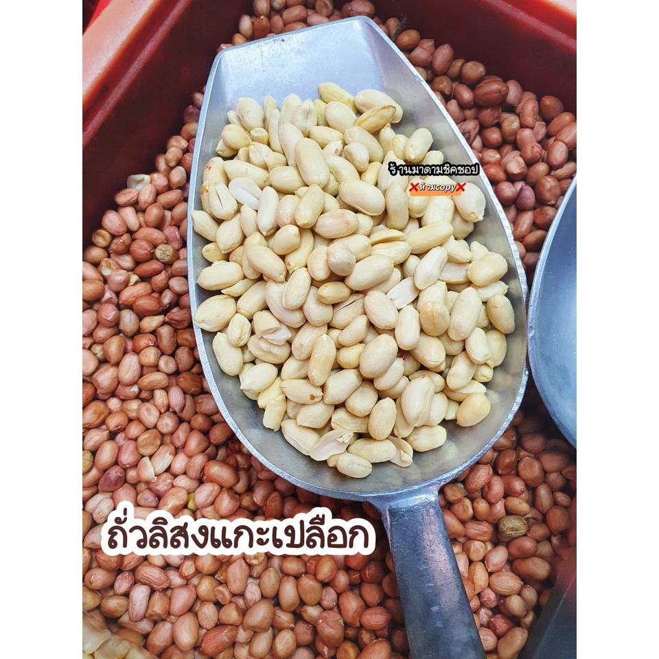 ถั่วลิสง (แกะเปลือก) Peanut Shell ถั่วลิสงเม็ดโตดิบถั่วใหม่แกะเปลือกนำไปคั่วพร้อมทานได้เลยค่ะ