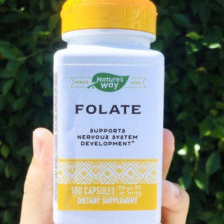 Folate โฟเลต 800mcg 100 Capsules (Natures Way®) กรดโฟลิก Folic Acid