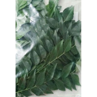 ขายใบหอมแขก Curry Leaf /หมุยขาวภาคใต้เรียก สมุยเป็นผัก สมุนไพร /ผักเนาะขนมจีนแกง