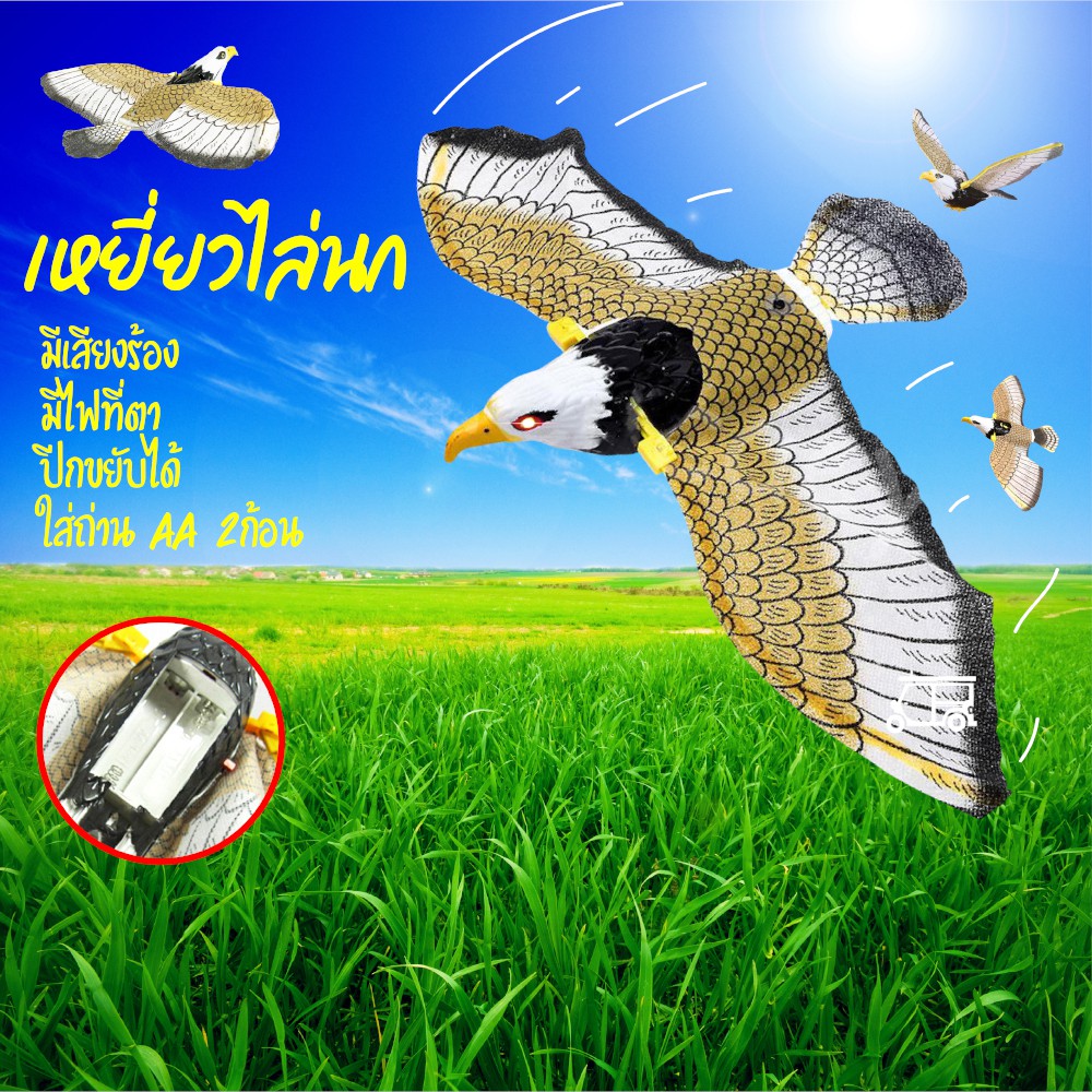 นกเหยี่ยวไล่นก เหยี่ยว ไล่นก หุ่นไล่นก หุ่นแขวนป้องกันนก ไล่นกกินแปลงผัก ที่ไล่นก นกพิราบ อุปกรณ์ไล่นก อุปกรณ์ป้องกัน