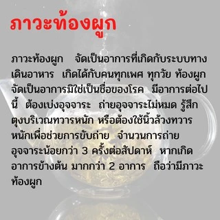 ชา ชง สมุนไพร มะขามแขก กิฟฟารีน Herbal Senna Infusion (Giffarine Brand) ขนาด 20 ซอง