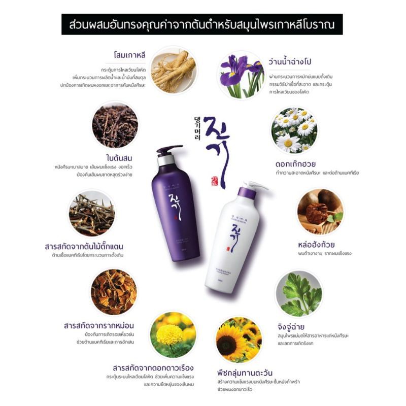 ┅Daeng Gi Meo Ri  Vitalizing(Jin Gi) 300ml / Hair Loss Care(Dlaesoo) 400ml แชมพูเกาหลี