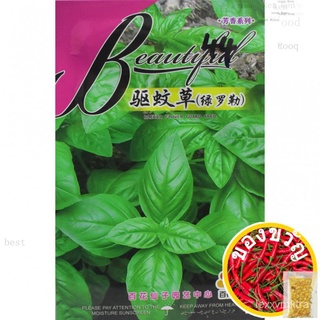 &lt;Greenheavenz&gt; Fairy Flowers Flower Seeds Green Basil Biji Benih เมล็ดใบโหระพาสีเขียว F044文胸/儿童/鲜花/裙子/花园/通心菜/向日葵/种子/木瓜/生