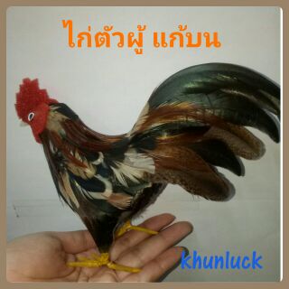 (พร้อมส่ง)🐓🐓ไก่ขนไก่แก้บน ถวายไอ้ไข่