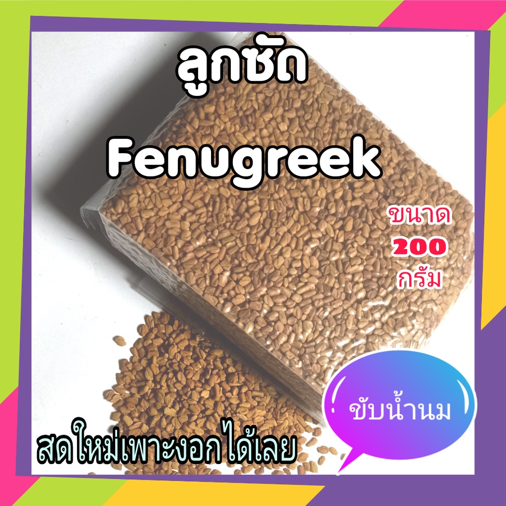 ลูกซัด ถั่วลูกซัด สมุนไพรขับน้ำนม ขับน้ำนม Fenugreek เพาะงอกไมโครกรีน Microgreens ขนาด 200 กรัม organic 100%
