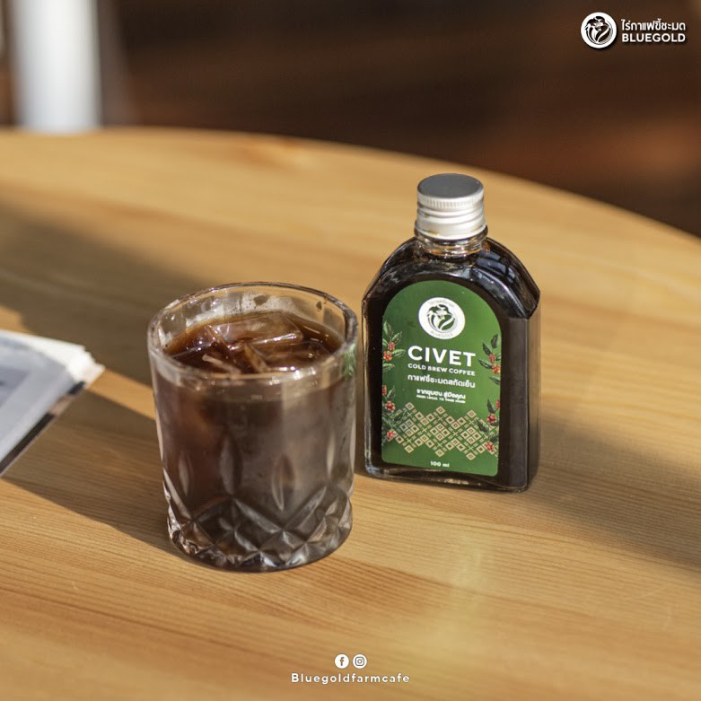กาแฟขี้ชะมดสกัดเย็น Civet Cold Brew Coffee จากไร่กาแฟขี้ชะมด Bluegold