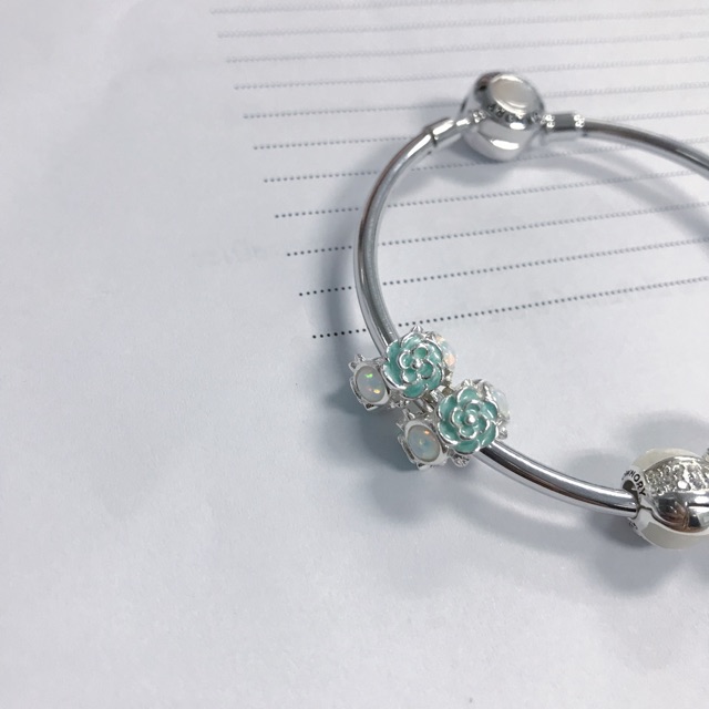 เงินแท้ ที่กั้นชาร์ม ownory