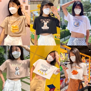 มีลายใหม่เข้า 🧵เสื้อยืด เสื้อครอปโอเวอร์ไซต์ ลายน่ารักๆ หมาแมว 🥞 ผ้าคอตตอน100%สกรีนพรีเมียม 🥞