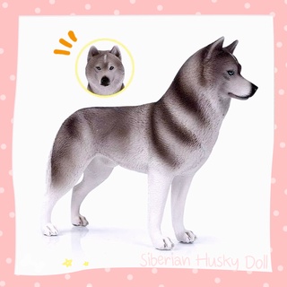 🇹🇭 โมเดลไซบีเรียน ฮัสกี้ Siberian Husky Model จำลอง ไซบีเรียนจำลอง ไซบีเรียนเรซิ่น ฮัสกี้เรซิ่น สุนัขจำลอง หมาจำลอง