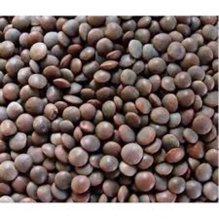 Black Masoor Dal 500g