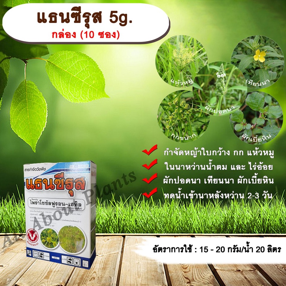 My Image 33
