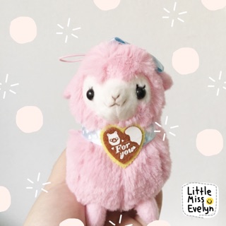 Pink Alpaca 💕